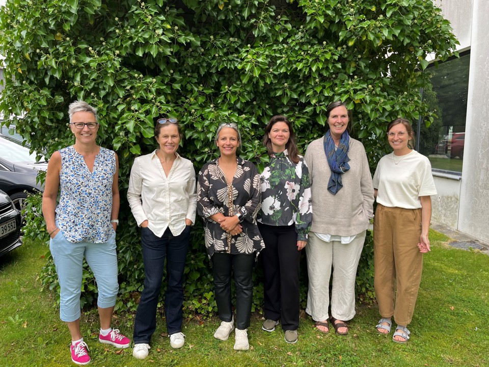 Billede af DOCEPT styregr.